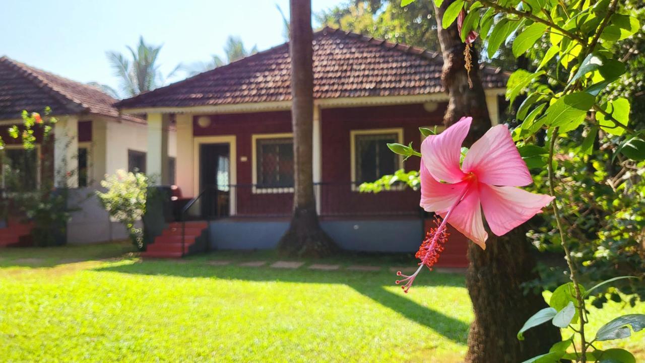 Garden Villa Vagator Eksteriør billede